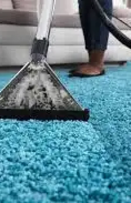 Carpet Cleaning